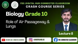 Role of air passageway and lungs | Biology | Grade 10 | Crash Course Series | FDE