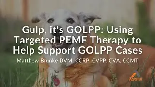 Gulp...it's GOLPP: Using Targeted PEMF to Help Support GOLPP Cases