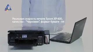 Epson XP-600: тест на скорость печати текста. Режим 