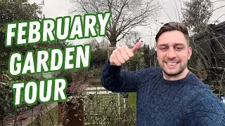 February Garden Tour - Big Changes!