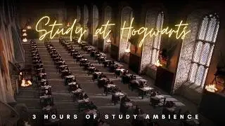 Hogwarts OWL Exams | Harry Potter Study Ambience | No Music (3 hours)