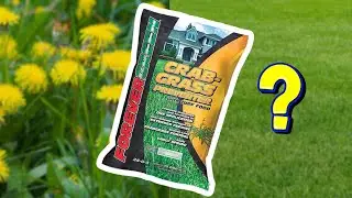 Does Crabgrass Preventer actually work? (FOREVER GREEN brand)