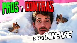 LA NIEVE