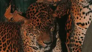 Bryson Tiller x Sy Ari Da Kid Type Beat | R&B Type Beat | MOLASSES