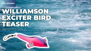 How to Use the WILLIAMSON EXCITER BIRD