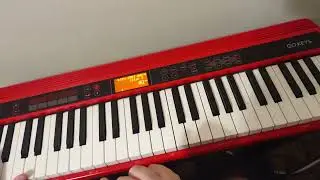 Raga yaman, Roland go keys 61, improvisation, with sitar sound