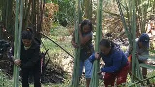 From Plant to Product | Raffia: Gasa Sa Buli