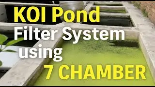 Koi Pond Filter System Revealed! 7 Chamber Setup for Crystal Clear Water