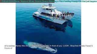 Todays Good News: Massive Whale Shocks Divers Watching a Fish-Feeding Frenzy: Did that jus