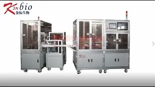 Full Automatic Strip Assembling and Packaging Production Line (ACP818+APM616-B2)