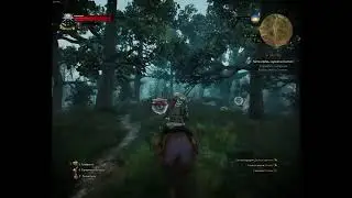 The Witcher 3 : Wild Hunt : Next Gen - Patch 4.04