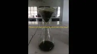Filtration#Plant extract#Whatmann#Filter paper#