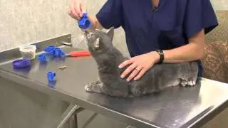 Henry Schein VET - Clipnosis Clip