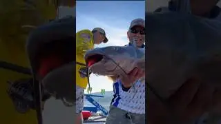 If You Like Fishing #Fishing #Shorts #Subscribe #Like #Catfish