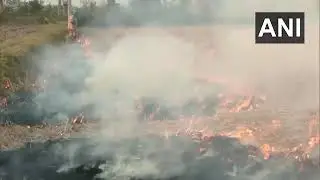 PunjabAn incident of stubble burning seen in an agricultural field in Thathgarh village of Tarn Tara