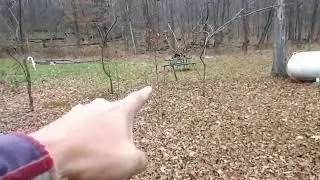 Возвращаемся в старую усадьбу.
