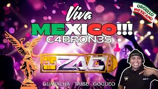 🔥 Música de Antro - Mix Viva México C4BRON3S 🇲🇽