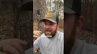 Wildlife Responding To Prescribed Fire