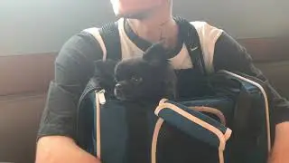 Pipi‘s erste große Reise 🌞