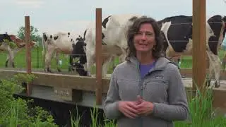 Restoring stream-side habitat on farmland