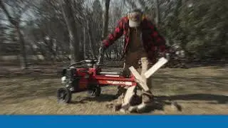 9 Ton 212cc Gas-Powered Log Splitter - 9110248