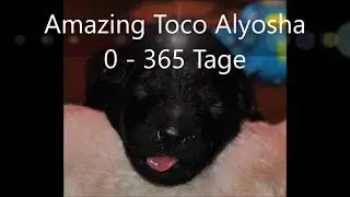 Toco 0-365 Tage