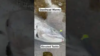Deadly steelhead worms available at Elevated Tackle. 🤘