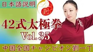 42式太極拳 第4段【37番 退歩 跨虎（tui bu kua hu）トゥイプ クワフゥ】Vo.35太極拳中国チャンピオン劉一丁@ryu-tube