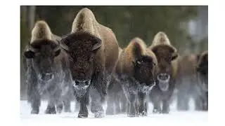 Run into the storm