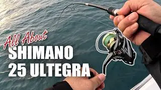 All About New SHIMANO 25 Ultegra