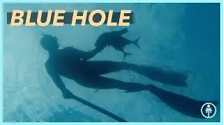 Exploring the Barrier Reef an Hour Kick From San Juan Metro