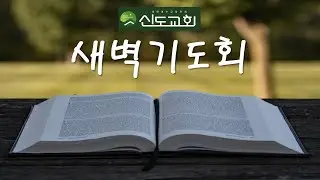 25.11.18(새벽,화)/김인영 목사