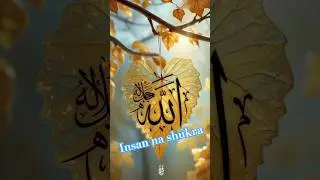 #alllahﷻ🕋🌹 #takatvar insan #islamicinformation #familyvlog #aryqtv #🤲👍 Ameen