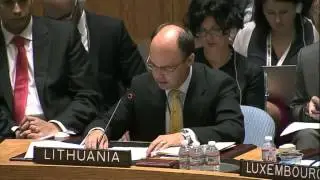 Terrorists don't even remove Russian markings from weapons, - Lithuania in UN.