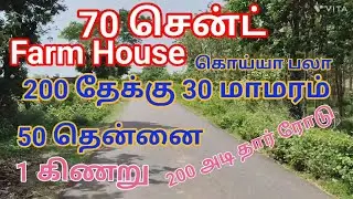 V320- 70 சென்ட் FARM LAND #FARMLAND #Acter #acterss #tamilnews #trending #farmingvideos #mangofarm