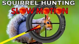 best squirrel shooting ever - slow motion - scope cam