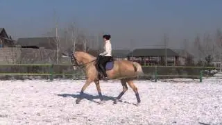 MAH04999