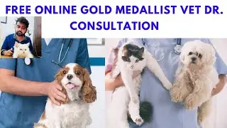 Pet consult - 😱 Free Online Gold Medallist ￼Vet Dr. Consultation platform 😍👍