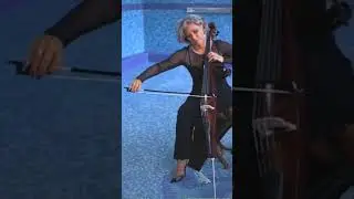 Shape of my heart - Sting - Dagmara Zajac Cellos