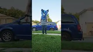 #Furry #Therian #Babyfur #DiaperFur #Otherkin #Wolfhearted