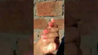 hand dance 🤌❤️😌😉 #bollywood #hindisong #bollywoodsongs#duet#supportmychannel#handdance#sorts#support