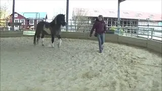 Graskjoni - unsere erste Begegnung