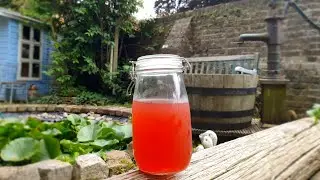 Ягодов сироп - вкусен, лесен и здравословен! Кето!/Strawberry syrup - tasty, easy and healthy! Кето
