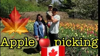 BARRIE HILL FARM Ontario 🍁