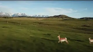 Crazy Mountain Access Project