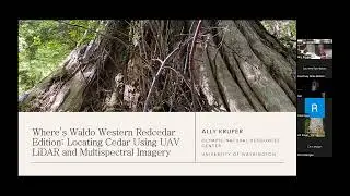 ONRC Rosmond Evening Talk- Ally Kruper