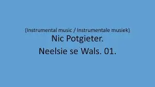 Nic Potgieter - Neelsie se Wals. 01.