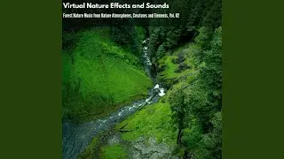 Rippled Nature