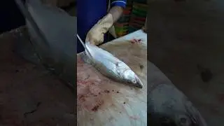 One Knife Isn't Enough | The Super Easy Technique for Filleting Walleye