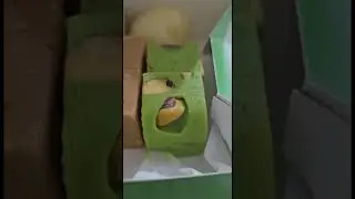 Unboxing assorted Indian sweets box 📦